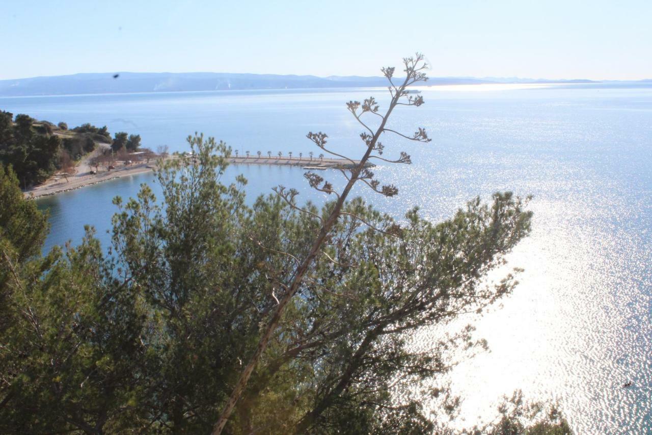 Apartment Paradise With Big Sunny Terrace In The Old Town, Few Meters From The Sea & Riva Promenade Split